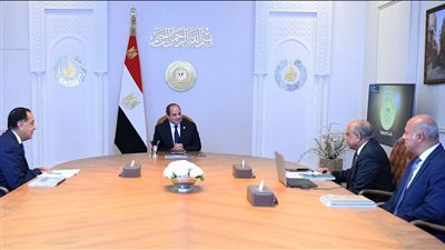 السيسي يوجه بالعمل على إضافة قدرات من الطاقات المتجددة إلى مزيج الطاقة والتشغيل الاقتصادي