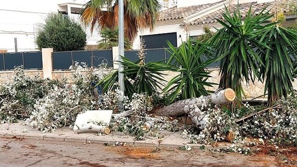 نشاط الرياح في أسبانيا