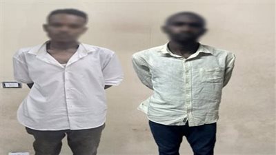 حبس أجنبيين لاتهامهما بتحطيم زجاج سيارة وسرقة محتوياتها بالجيزة 