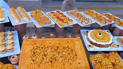 فنادق مرسى علم تنظم مهرجانًا للمانجو على شواطئها لإسعاد نزلائها | صور