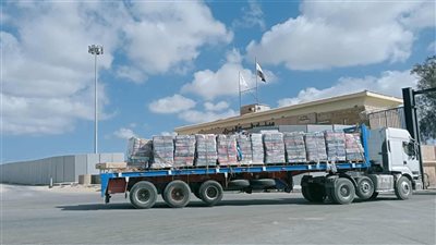 عبور 304 شاحنات مساعدات إماراتية إلى غزة عبر معبر رفح خلال سبتمبر