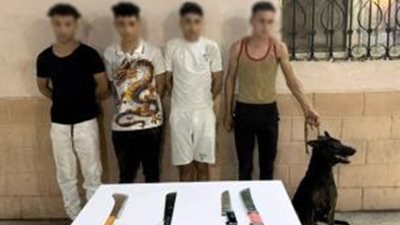 باستخدام سلاح أبيض وكلب.. القبض على المتهمين بممارسة البلطجة والتعدي على سائق توك توك بالجيزة