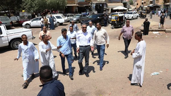 محافظ أسوان