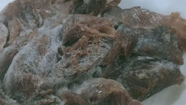 أحد المضبوطات