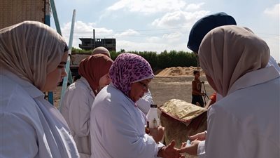 تحصين 80293 رأس ماشية ضد الحمى القلاعية وحمى الوادي المتصدع بالفيوم 