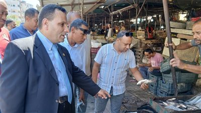 ضبط أدوات كهربائية مجهولة المصدر في حملات بالإسكندرية