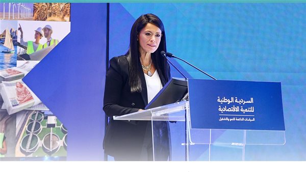 وزيرة التخطيط