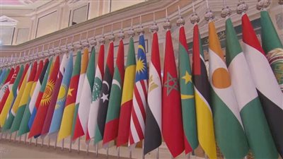 وزراء خارجية الدول العربية والإسلامية يشددون على وحدة الصف في مواجهة الاعتداءات الخارجية