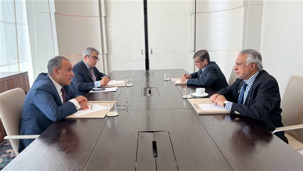 وزيرا خارجية مصر