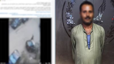 القبض على المتهم بالاعتداء على كلب بعصا خشبية في القاهرة