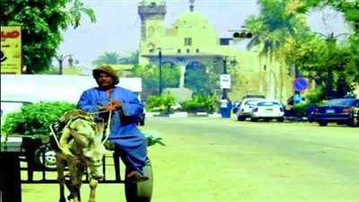 بعد نصف قرن من التسول.. سقوط «أبو روشتة» في قبضة مباحث الأقصر