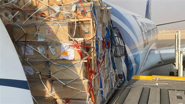 شحنة حساسة من النحل