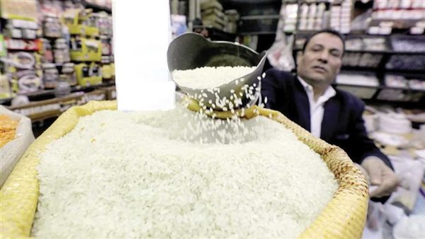 الأرز- أرشيفية