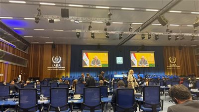 وزير الكهرباء: الحصول على إذن إنشاء منشأة تخزين الوقود النووي المستهلك لمحطة الضبعة النووية