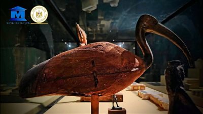 متحف سوهاج القومي يسلّط الضوء على تمثال نادر لطائر الأبيس