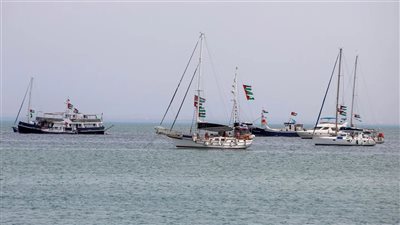 الخارجية الإسرائيلية: سنتعامل بقوة مع أسطول الصمود