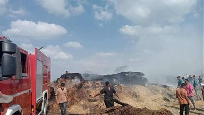 السيطرة على حريق في حظيرة مواشي ببلقاس.. ونفوق 7 رؤوس ماشية