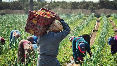 كيف يعزز العيش في الريف توازن العقل والجسد؟
