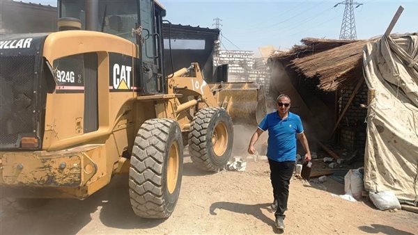 محافظ أسوان