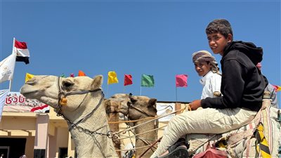 انطلاق مهرجان سباق الهجن بالعريش بحضور محافظ شمال سيناء