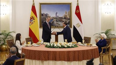 مصر وإسبانيا يشددان على ضرورة الوقف الفوري لإطلاق النار بغزة.. والملك يشيد بموقف مصر التاريخي