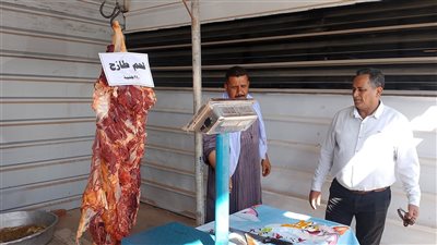  الوادي الجديد تطرح لحوما بلدية بـ290 جنيه وطماطم بـ10 جنيهات