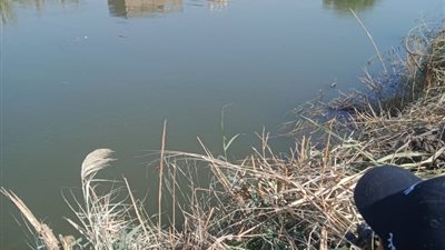 مصرع شخص والبحث عن آخرين في سقوط سيارة داخل ترعة بسوهاج