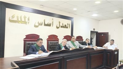 اليوم.. أولى جلسات استئناف المتهم بإنهاء حياة ابنته الرضيعة بالبحيرة