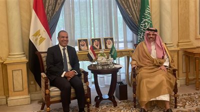 مصر والسعودية تؤكدان أهمية البناء على الرؤية المشتركة للأمن والتعاون في المنطقة