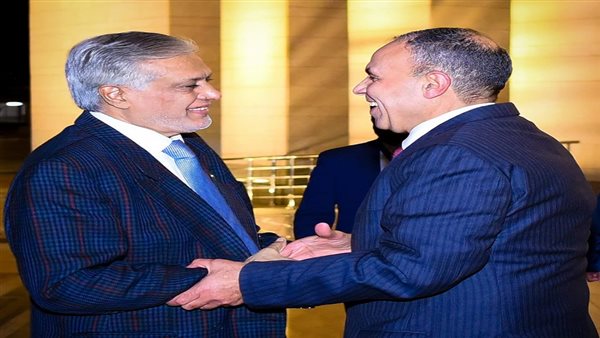 وزير الخارجية ونظيره