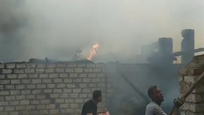 نفوق 9 مواشٍ.. السيطرة على حريق حوشين في سوهاج