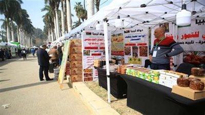 25 أكتوبر.. الوادي الجديد تستضيف مهرجان التمور المصرية