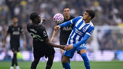 توتنهام يتعادل مع برايتون في الدوري الإنجليزي الممتاز