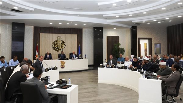 محافظ أسوان