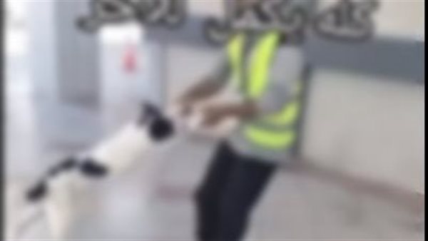 ضبط عامل بنزينة لتعديه