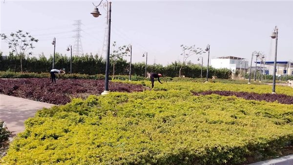 المسطحات خضراء بحدائق