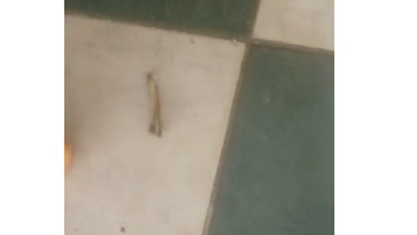 صورة من داخلة الغرفة