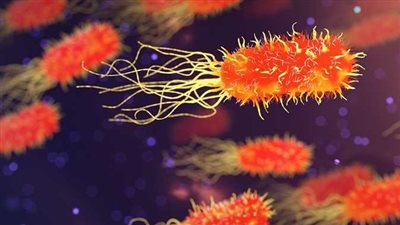 ارتفاع الوفيات بسبب بكتيريا آكلة للحوم البشر في أمريكا.. وتحذيرات من انتشار العدوى