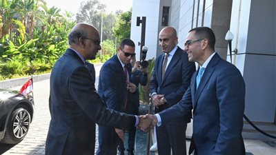 وزارة الاستثمار: العلاقات بين مصر وسنغافورة تمثل أساسًا لشراكة استراتيجية شاملة
