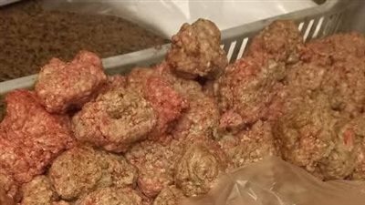 حملات مكثفة على محلات اللحوم بالسويس وضبط كميات غير صالحة للاستهلاك الآدمي