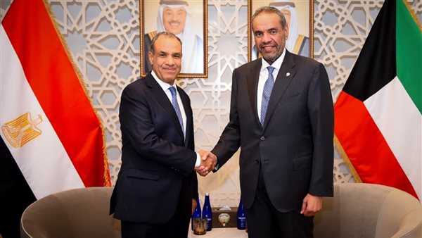 وزير الخارجية يلتقي