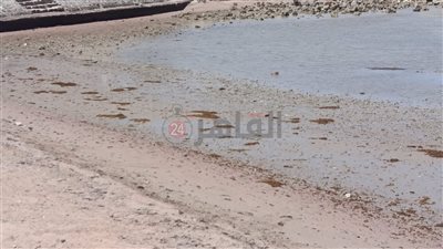 بسبب المد والجزر.. تراجع في منسوب مياه شواطئ الغردقة| صور