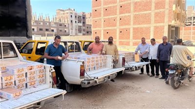 ضبط 6 آلاف عبوة جبنة فاسدة قبل تهريبها للأسواق بالأقصر