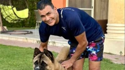 تصالح عصام الحضري مع المهندسة ضحية عقر كلبه بالساحل الشمالي