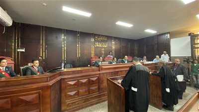 إحالة أوراق شاب قتل خاله حرقًا بالأقصر إلى المفتي