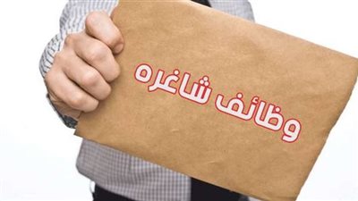 وظائف شركة خدمات بحرية بالسويس.. تعرف على التخصصات والرواتب