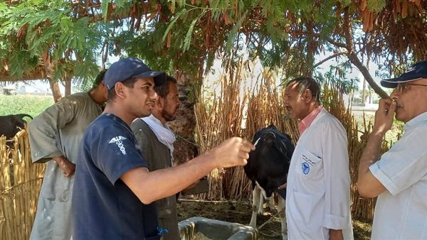 حملة التحصين 