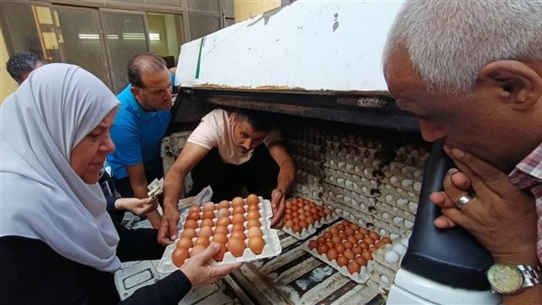 كراتين البيض