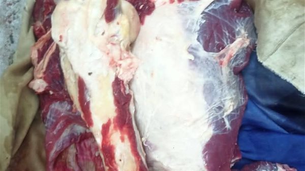 لحوم مذبوحة خارج