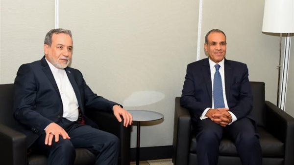 وزير الخارجية يلتقي